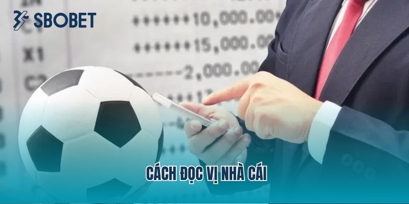 Cách Đọc Vị Nhà Cái Trong Quá Trình Soi Kèo