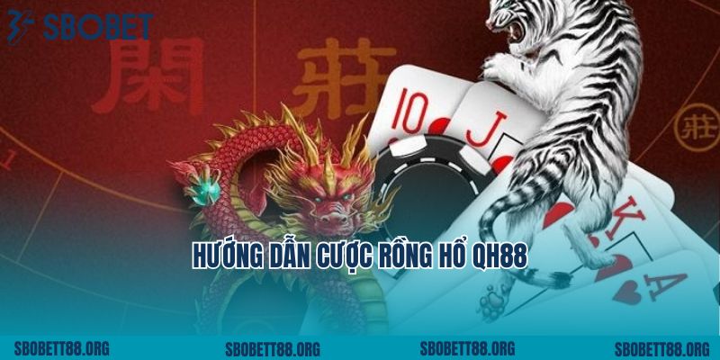 Hướng Dẫn Cược Rồng Hổ QH88 Chi Tiết Các Thao Tác 