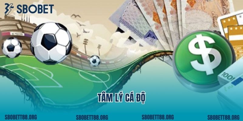 Tâm Lý Cá Độ Của Người Chơi Cá Cược Trực Tuyến